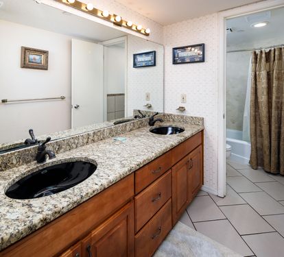 Master vanity - double sinks