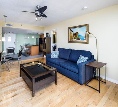 Open living room/dining and kitchen