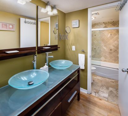 Master vanity - double sinks - tub/shower