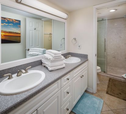 Master vanity double sink