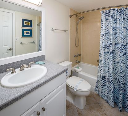 Guest tub/shower