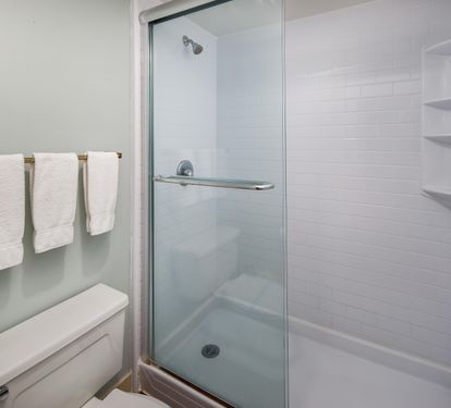 Primary Shower