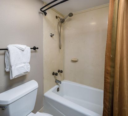 Master bath tub/shower