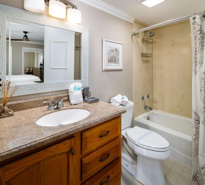 Guest bath tub/shower