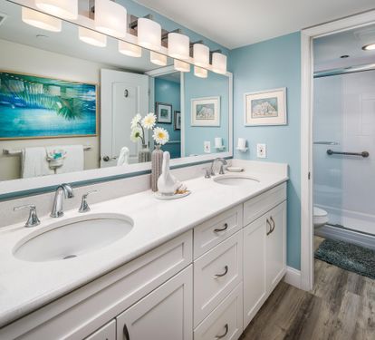 Master vanity - double sinks