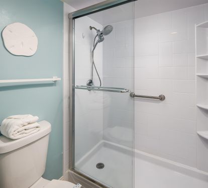 Master walk in shower with safety bars