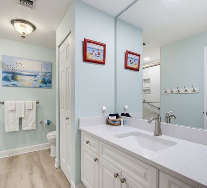 Primary bathroom with single vanity and walk-in shower.