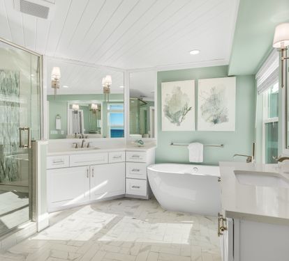 Primary Suite - Tub and Shower