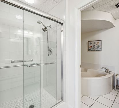Primary En-Suite - Soaking Tub & Walk-In Shower