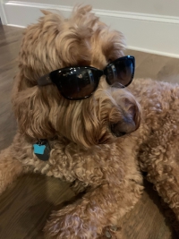 Property Owner Profile Picture