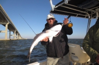 Property Owner Profile Picture